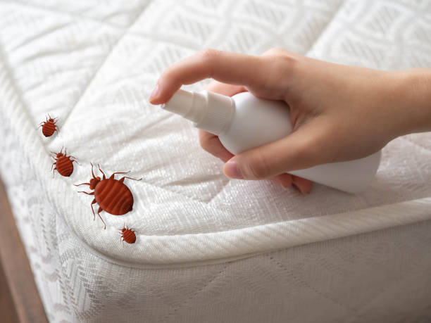 Best Pest Prevention Services  in Menahga, MN